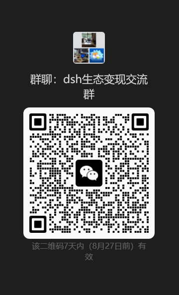 DSH 生态变现交流群二维码